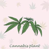 simplicidad planta de cannabis dibujo a mano alzada diseño plano. vector