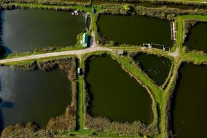 lakes for growing fish in natural conditions top view
