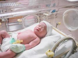 newborn baby infant sleep in the incubator at hospital photo