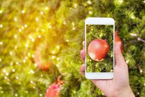 Woman taking picture of christmas decorations photo