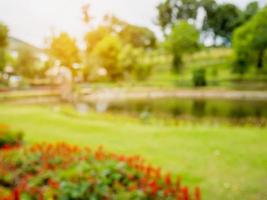 Blurred garden park natural background photo