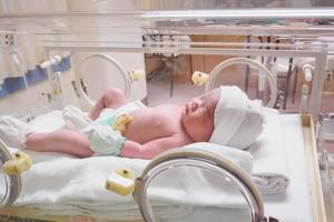 new born baby infant sleep in the incubator at hospital photo