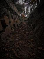 Portrait of trenches in drought, ditches in Indonesia photo