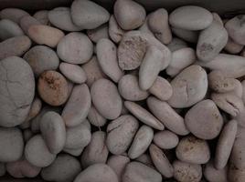 On the pebble background, there are lots of pebbles which are white in shape and color photo