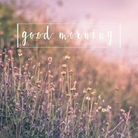 good morning message on nature flower background greetings card photo