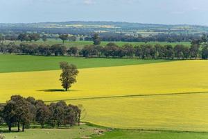 Scenic rural areas point view in regional Australia of Walla Walla is a town in the Riverina region of southern New South Wales. photo