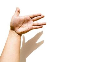 Dog hand gesture on left hand with its shadow isolated on white background. photo