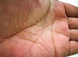 patrones de la palma de la mano izquierda en primer plano. foto