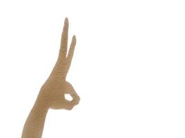 Rabbit head shadow by hand gesture isolated on white background. photo