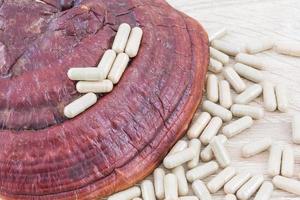 Ling zhi mushroom or Ganoderma lucidum capsule photo