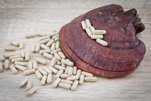 Ganoderma lucidum capsule - Ling zhi mushroom photo
