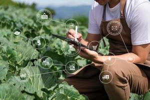 Agriculture technology farmer woman holding tablet or tablet technology to research about agriculture problems analysis data and visual icon.Smart farming photo