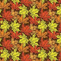 Autumn seamless pattern of Orange Maple Leaves on White Background, Vector