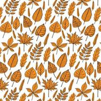 Seamless pattern with autumn leaves vector