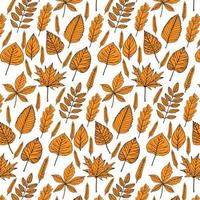 Seamless pattern with autumn leaves vector