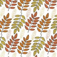 Seamless pattern with autumn leaves vector