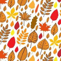 Seamless pattern with autumn leaves vector