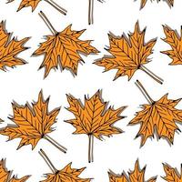 Autumn seamless pattern of Orange Maple Leaves on White Background, Vector