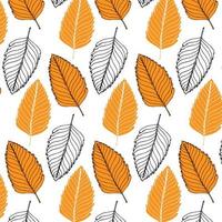 Seamless pattern with autumn leaves vector