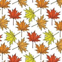 Autumn seamless pattern of Orange Maple Leaves on White Background, Vector