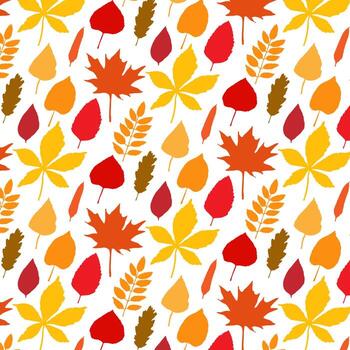 Elegant seamless pattern with fallen autumn leaves of various type and color on white background. Autumnal backdrop with colorful foliage. Vector illustration for textile print, wrapping paper.