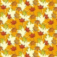 Seamless pattern with autumn leaves vector