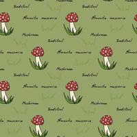 Seamless pattern with handdrawn amanita muscaria and text on green background. Vector image.