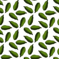 Seamless pattern with cute tasty cucumbers on white background. Vector image.