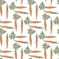 Seamless pattern with yammy carrot on white background. Vector image.
