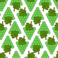 Seamless pattern with green grapes on a white background vector