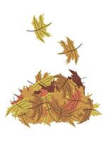 Pile of maple leaves vector illustration isolated on white background