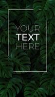 Vertical banner with 3d green leaves monstera on dark background. Vector illustration with copy space for your text in frame. Realistic template for cover, stories, poster, banner, card, ad, design