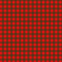 red christmas twill pattern and texture, textile background and Fashion checkered background. photo