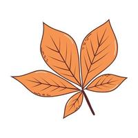 hoja de otoño. ilustración vectorial en estilo dibujado a mano vector