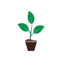 icono de planta, icono de jardín vector ilustración de estilo plano