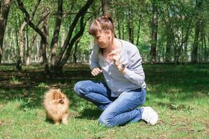 Caucasian woman is playing with her puppy of Pomeranian Spitz dog on the grass in park. photo