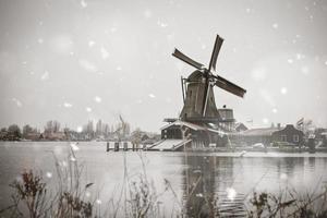 Zaanse Schans windmills rural winter landscape photo