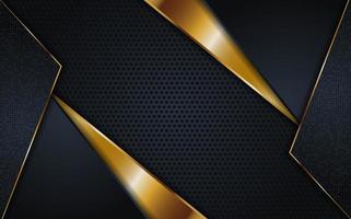 Luxury dark background combination with line gold vector