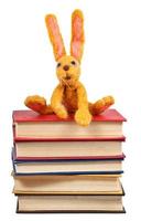 soft toy rabbit sits on old books photo