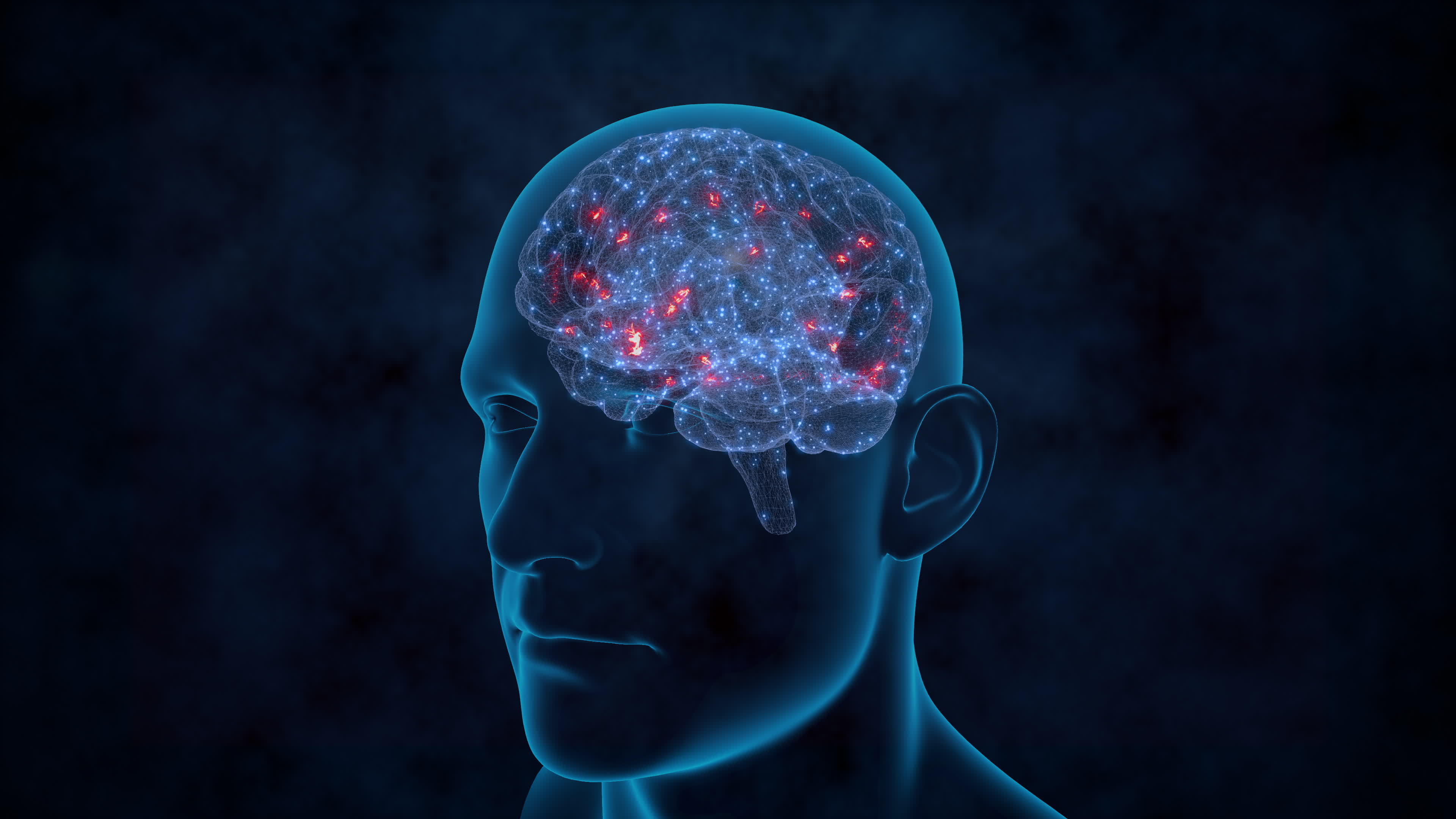 This Brain Region Shocked Scientists! (Cerebral Cortex) - lzodicr
