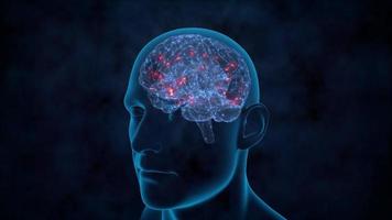 animation du processus de pensée humaine. rotation en boucle de la tête humaine et impulsions rouges visibles dans le cortex cérébral.rendu 3d. video