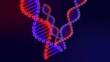 rood en blauw dna animatie, moleculair, biologie genetisch, Onderzoek wetenschap, biochemie geneesmiddel, molecuul, wetenschappelijk, blauw en rood achtergrond, biotechnologie, chemie, dna, futuristisch, menselijk gen video