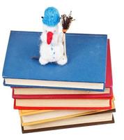 felt soft toy snowman on books photo