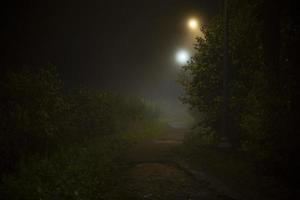 Fog at night in park. Fog in city. Lights and humid air. photo