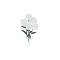 White rose flower with leaves painting png