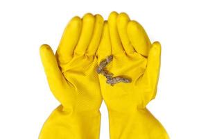 Hands in rubber gloves hold dust balls, isolated, close up. photo
