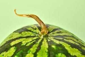 Tasty and juicy watermelon with dry tail, green background, delicious summer fruit for stay hydrated photo