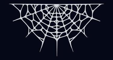 Spider web isolated on black background. Spooky Halloween cobweb. Vector illustration