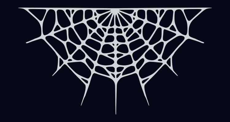 Spider web isolated on black background. Spooky Halloween cobweb. Vector illustration