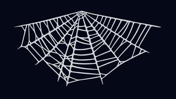 Spider web isolated on black background. Spooky Halloween cobweb. Vector illustration